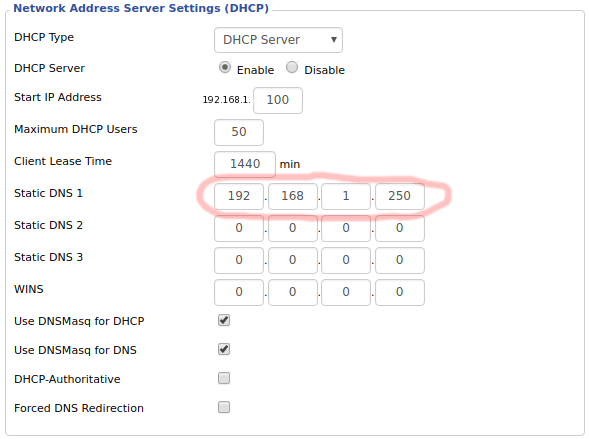 Update the DNS setting on a router for Pi Hole